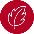 Refreshing Taste: <br class="break" />Cool mint flavor